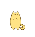 きぃねこ（個別スタンプ：1）