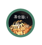 ヘルマンリクガメ  リクガメのココタロウ2（個別スタンプ：17）