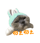 気まぐれポン子（個別スタンプ：1）