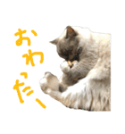 気まぐれポン子（個別スタンプ：14）