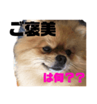 デカポメぽん太⑤（個別スタンプ：8）