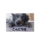 そら さらスタンプ2（個別スタンプ：8）
