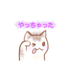 猫スタン（個別スタンプ：6）
