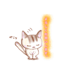 猫スタン（個別スタンプ：13）