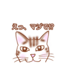 猫スタン（個別スタンプ：19）
