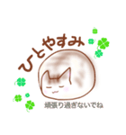 猫スタン（個別スタンプ：21）