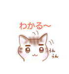 猫スタン（個別スタンプ：22）