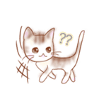 猫スタン（個別スタンプ：23）