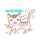 猫スタン（個別スタンプ：24）