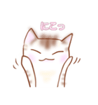 猫スタン（個別スタンプ：25）