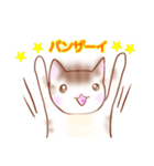 猫スタン（個別スタンプ：28）