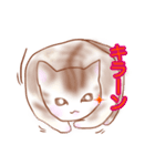 猫スタン（個別スタンプ：29）