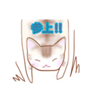 猫スタン（個別スタンプ：30）