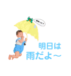 特別な日のはるちんスタンプ（個別スタンプ：17）