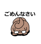 めがねたぬきさん（個別スタンプ：8）