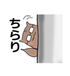 めがねたぬきさん（個別スタンプ：13）