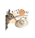 うさぎのらっこ（個別スタンプ：13）