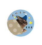 うさぎのらっこ（個別スタンプ：16）
