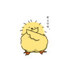 ゆるーいひよこさん（個別スタンプ：5）
