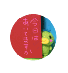 星かっぱ〜年末年始ver〜（個別スタンプ：18）