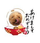 ぱーるtoぷっちpart2（個別スタンプ：1）