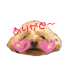 ぱーるtoぷっちpart2（個別スタンプ：3）