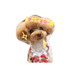 ぱーるtoぷっちpart2（個別スタンプ：6）