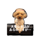 ぱーるtoぷっちpart2（個別スタンプ：7）
