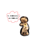 ぱーるtoぷっちpart2（個別スタンプ：10）