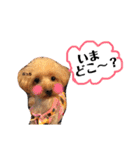ぱーるtoぷっちpart2（個別スタンプ：20）