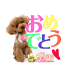 ぱーるtoぷっちpart2（個別スタンプ：38）