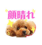 ぱーるtoぷっちpart2（個別スタンプ：39）