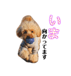 ぱーるtoぷっちpart2（個別スタンプ：40）