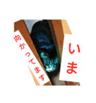 ぐっさんちの猫(日常会話編)（個別スタンプ：8）
