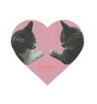 ぐっさんちの猫(日常会話編)（個別スタンプ：23）