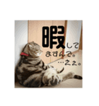 みー太くんの日常②（個別スタンプ：6）