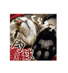 みー太くんの日常②（個別スタンプ：7）