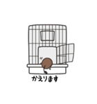 ゆるっとデグー3（個別スタンプ：10）