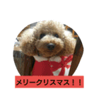 我が家のペットちゃん達（個別スタンプ：6）