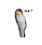 我が家のペットちゃん達（個別スタンプ：32）