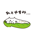 にゃーめ猫（個別スタンプ：30）