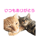 わさちくスタンプ 1巻（個別スタンプ：2）