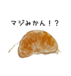 冬のみかん（個別スタンプ：11）