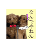 ワンちゃんズ4（個別スタンプ：1）
