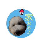ワンちゃんズ4（個別スタンプ：10）