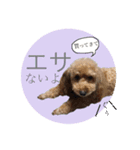 ワンちゃんズ4（個別スタンプ：18）