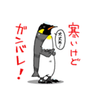 冬のペンギンズ（個別スタンプ：8）
