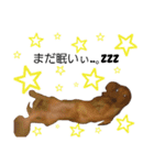 キングとダム（個別スタンプ：1）