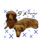 キングとダム（個別スタンプ：5）