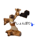 キングとダム（個別スタンプ：8）